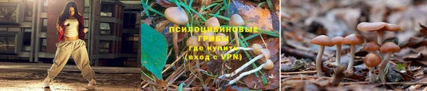 гашиш Магас