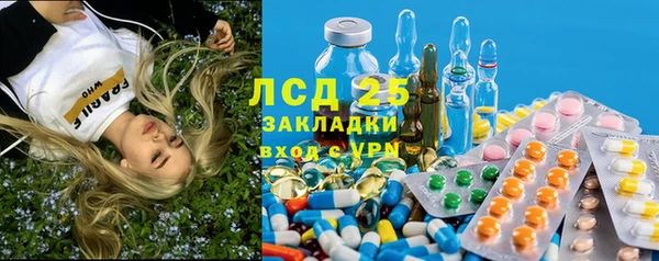 ПСИЛОЦИБИНОВЫЕ ГРИБЫ Лагань