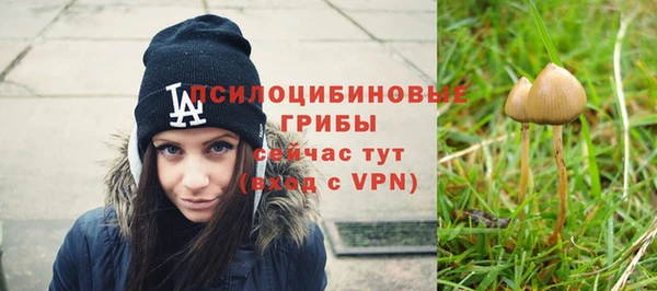 гашиш Магас