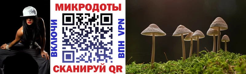 Псилоцибиновые грибы Psilocybe  мориарти наркотические препараты  Тогучин 